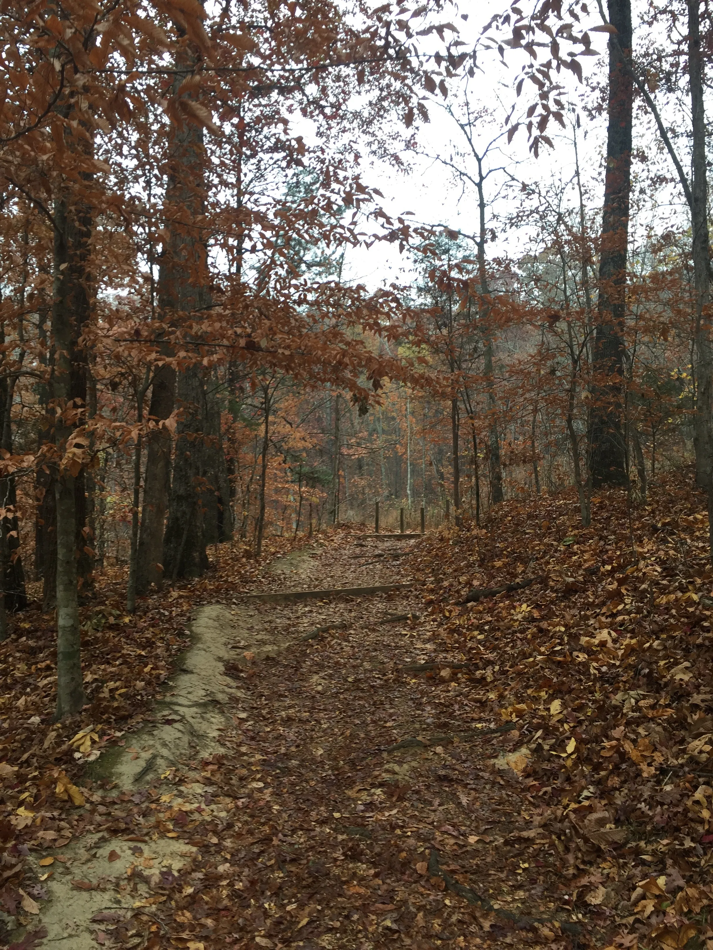 Hike House Mountain, TN