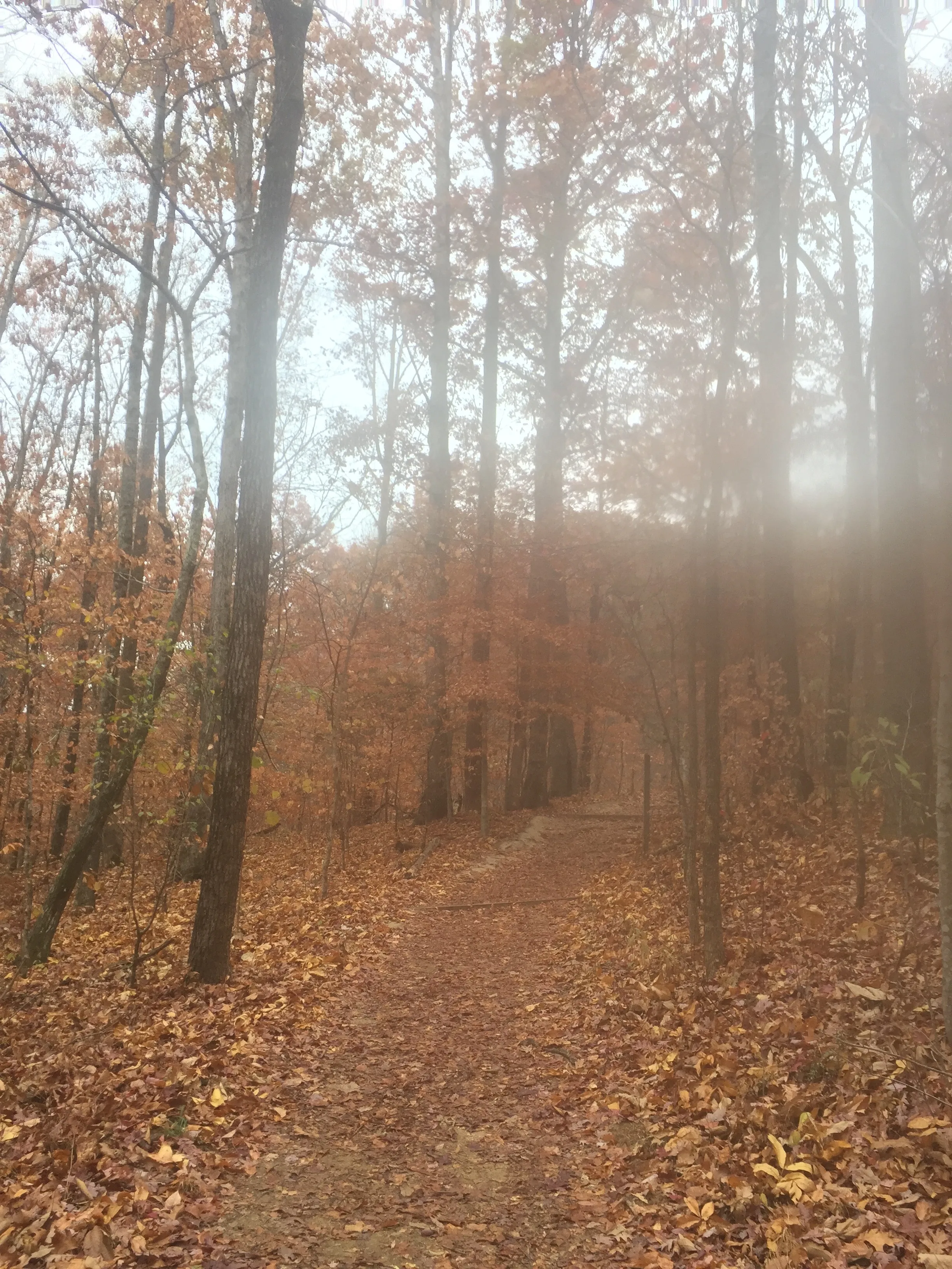Hike House Mountain, TN