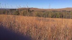 Konza Godwin Hill Loop