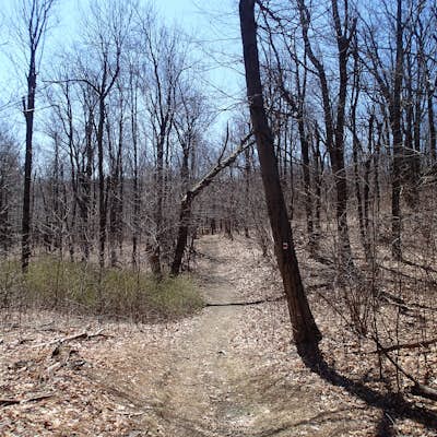Hike the Iris Tail - Appalachian Tail Loop