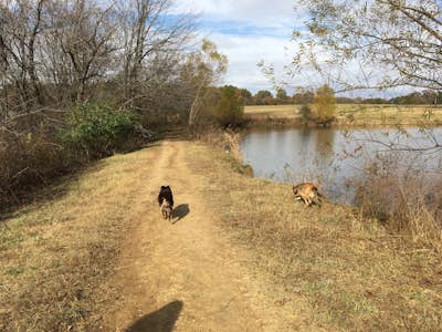Hike at The Outback at Shelby Farms Park Conservancy