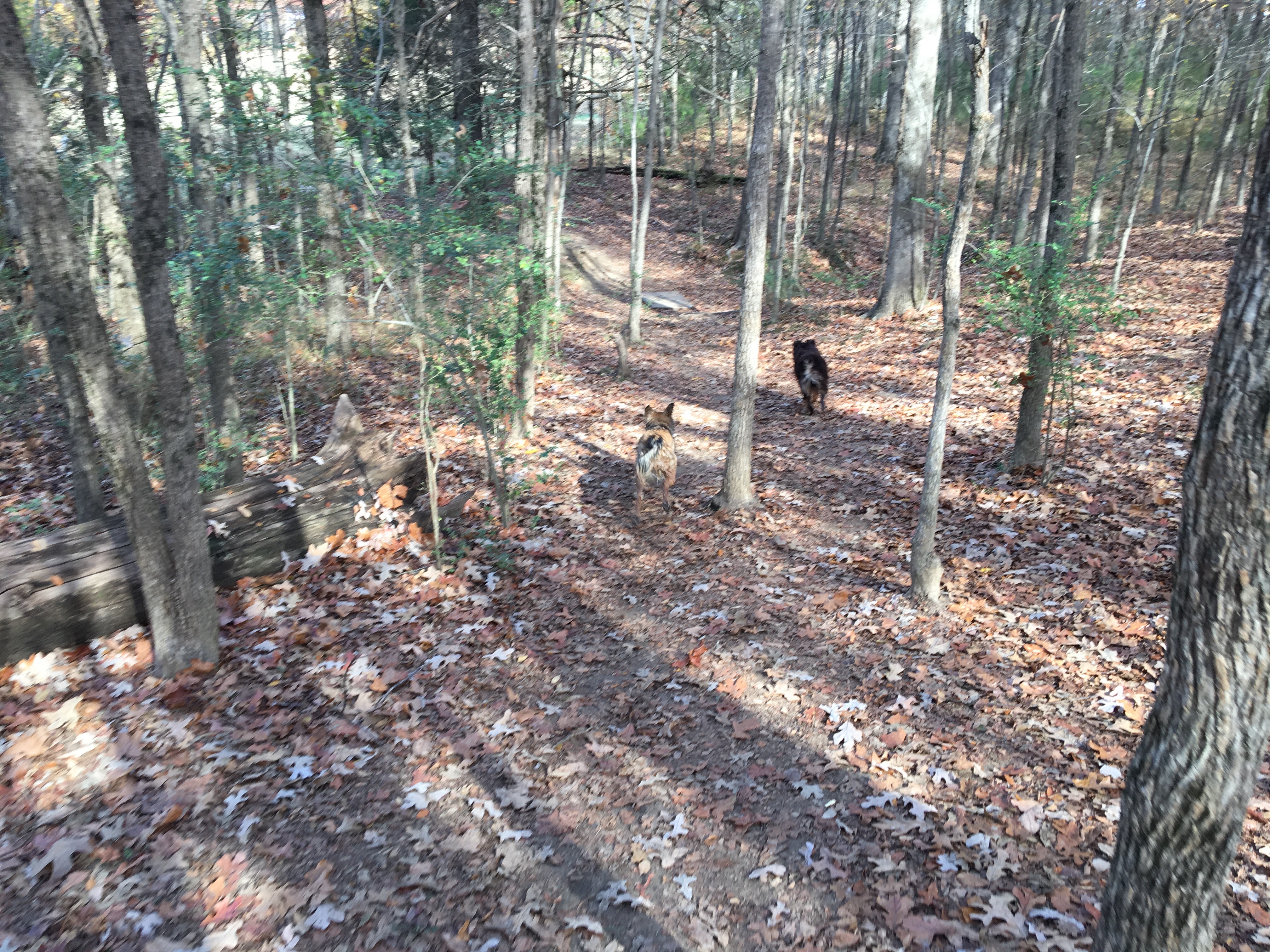 Hike at The Outback at Shelby Farms Park Conservancy