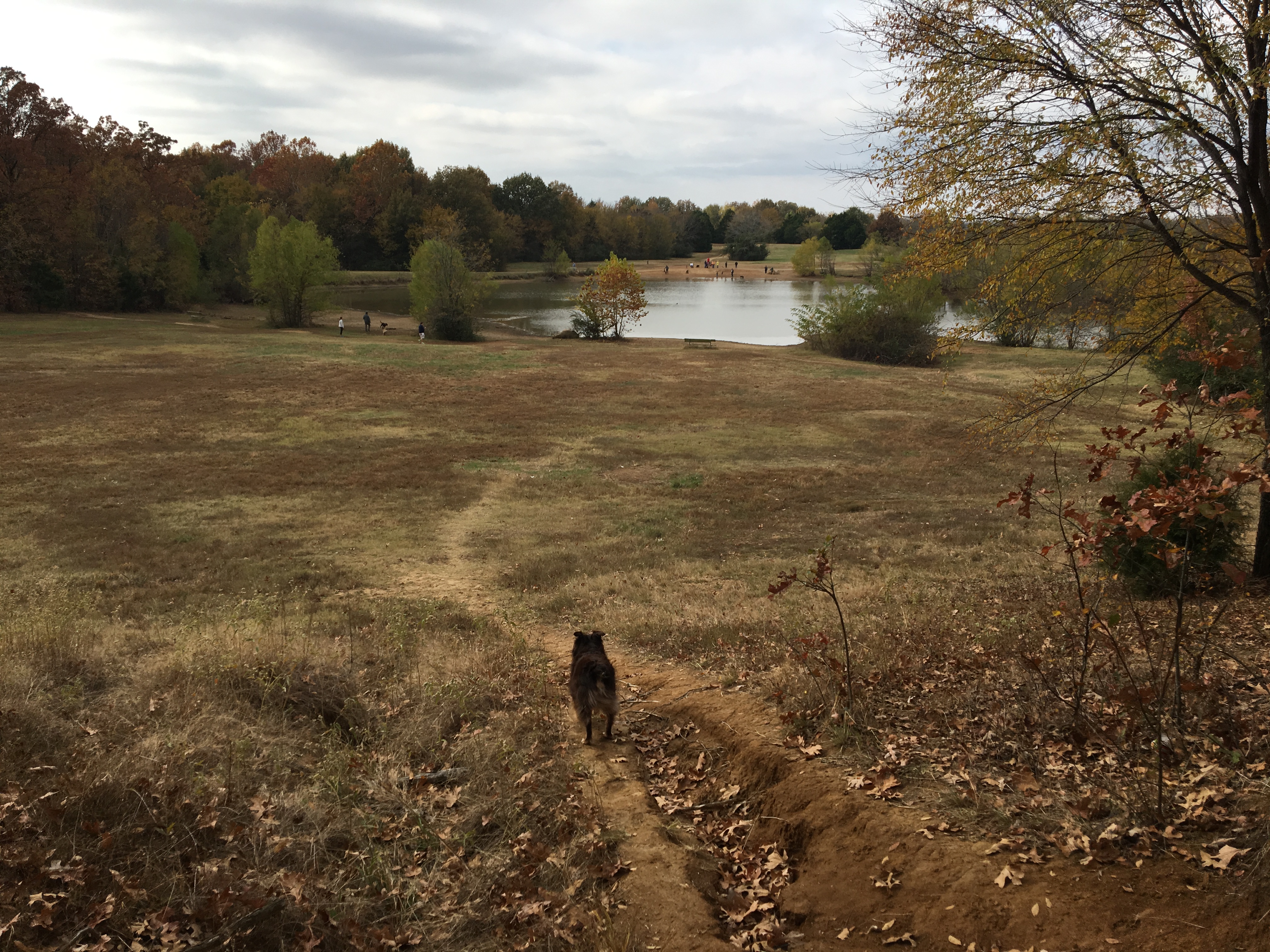 Hike at The Outback at Shelby Farms Park Conservancy