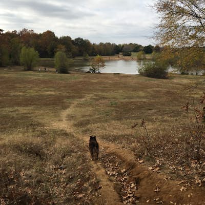 Hike at The Outback at Shelby Farms Park Conservancy