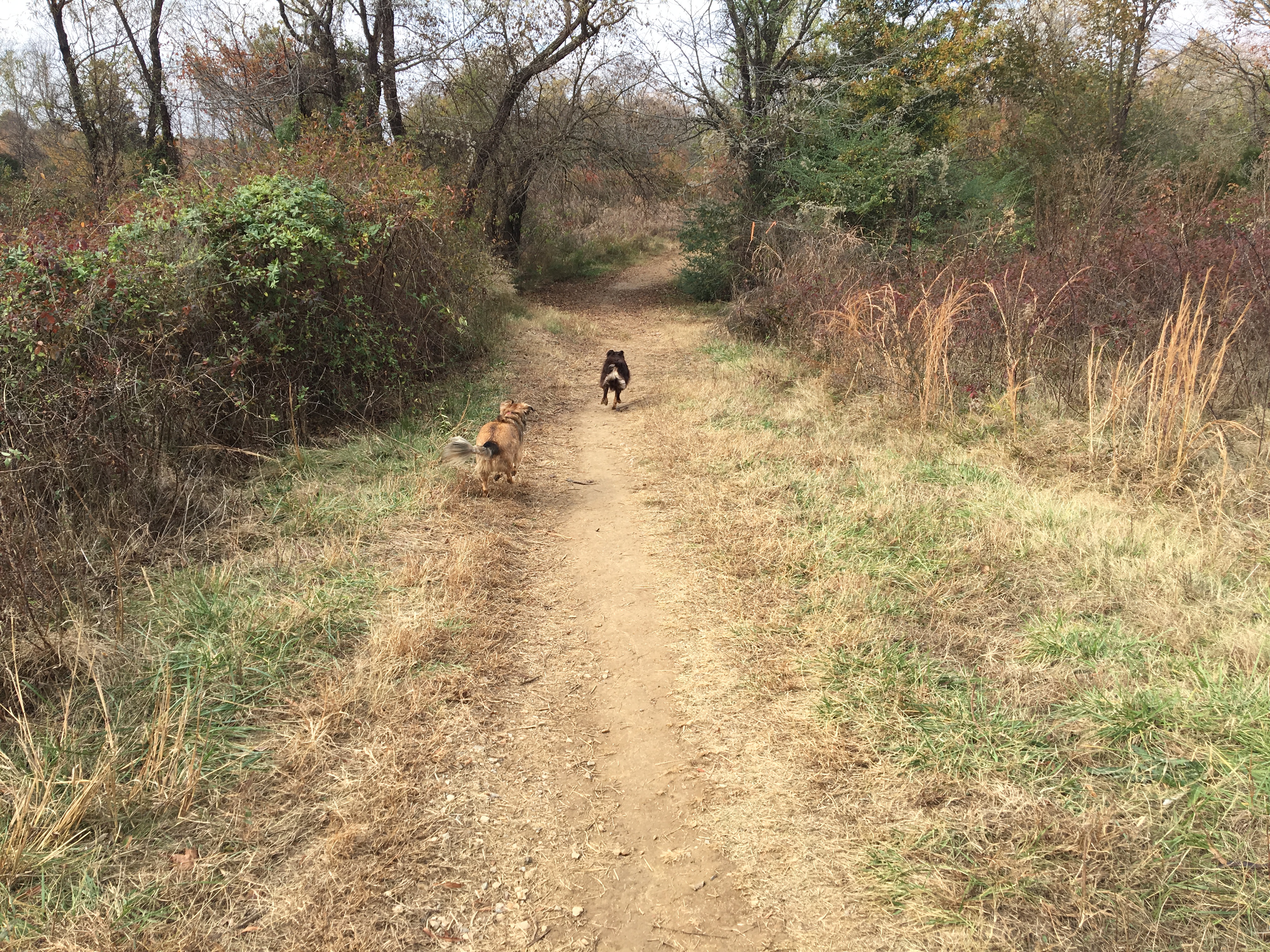 Hike at The Outback at Shelby Farms Park Conservancy