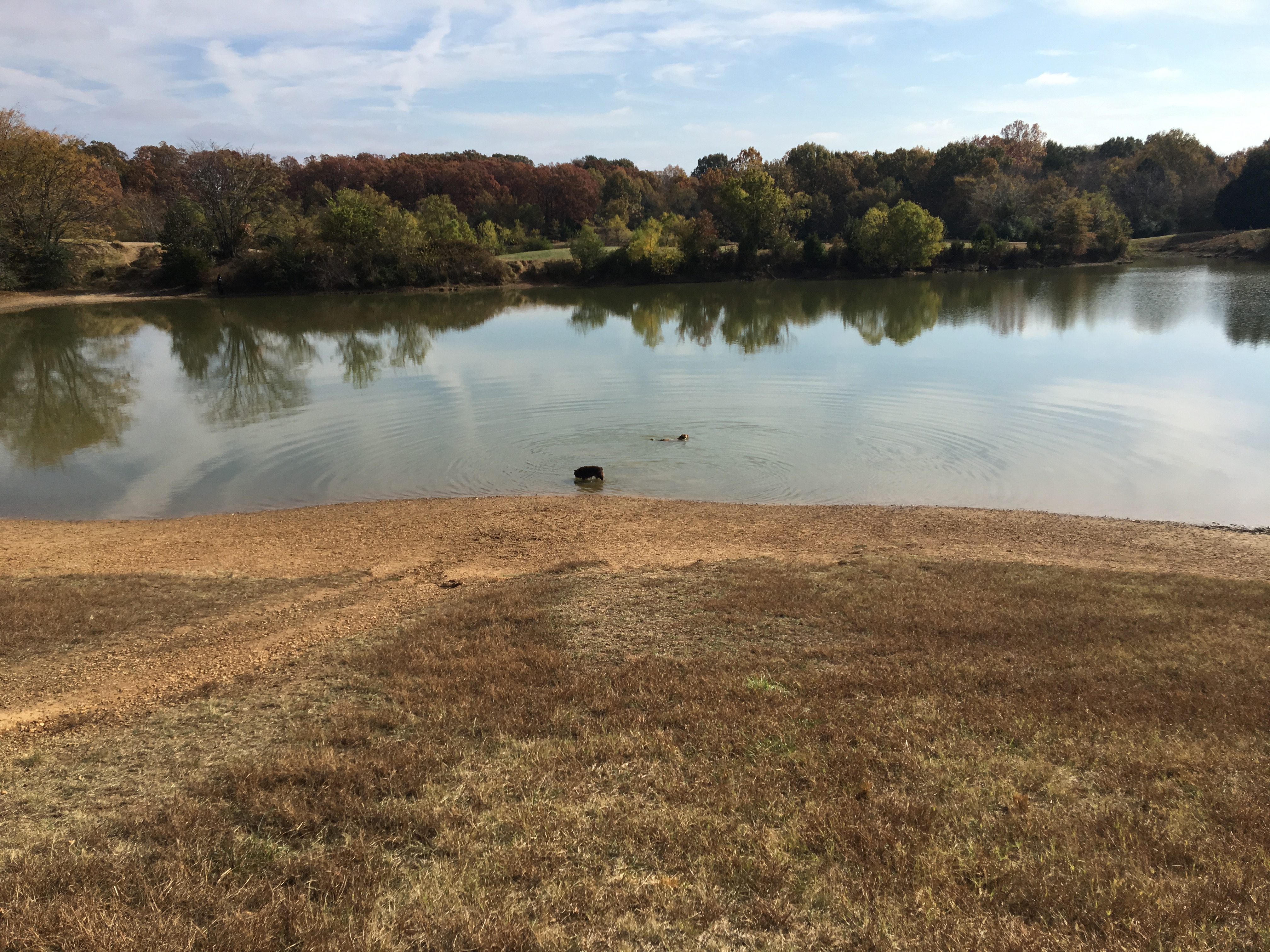 Hike at The Outback at Shelby Farms Park Conservancy