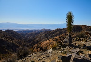 Hike the Covington Crest Trail