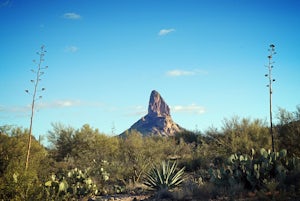 Hike Black Mesa Loop