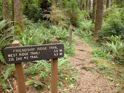 Hike the Friendship Ridge Trail loop via the Coastal Trail