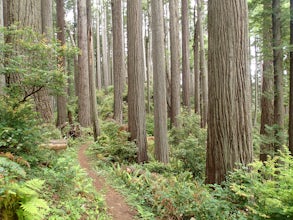 Hike the Friendship Ridge Trail loop via the Coastal Trail