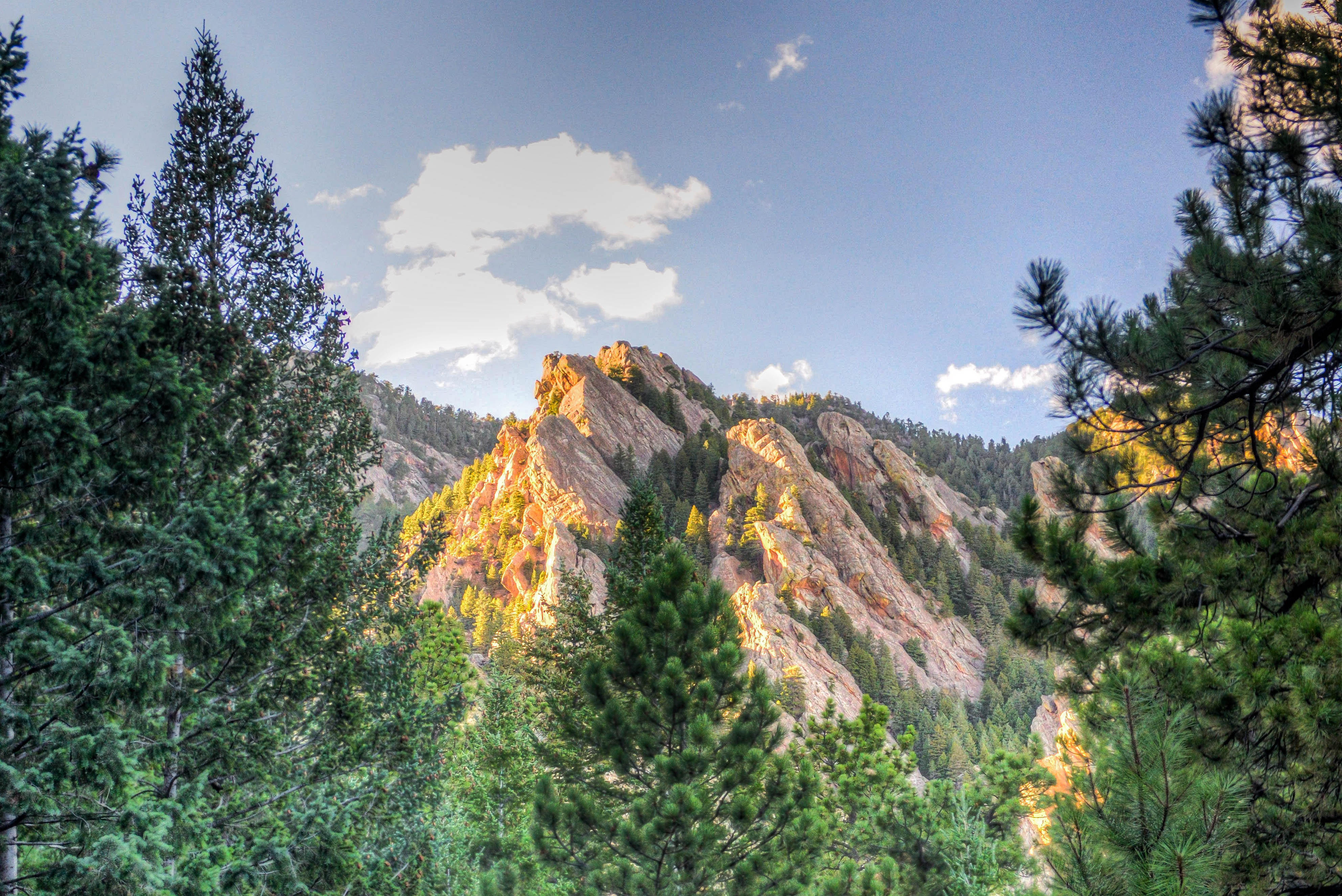 Shanahan Ridge Trail