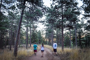 Shanahan Ridge Trail