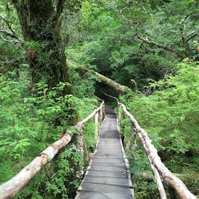 Hike in Bosque Encantado (Enchanted Forest) in Patagonia