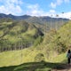 Hike Valle De Cocora in Colombia