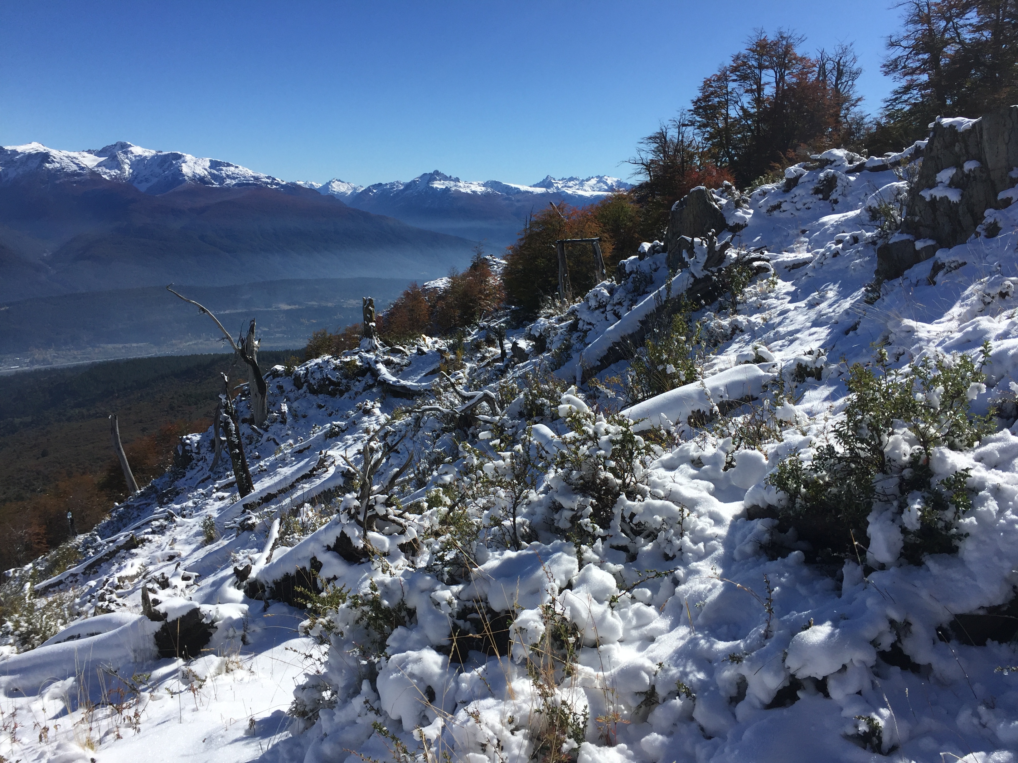 Hike to Cerro Piltriquitrón