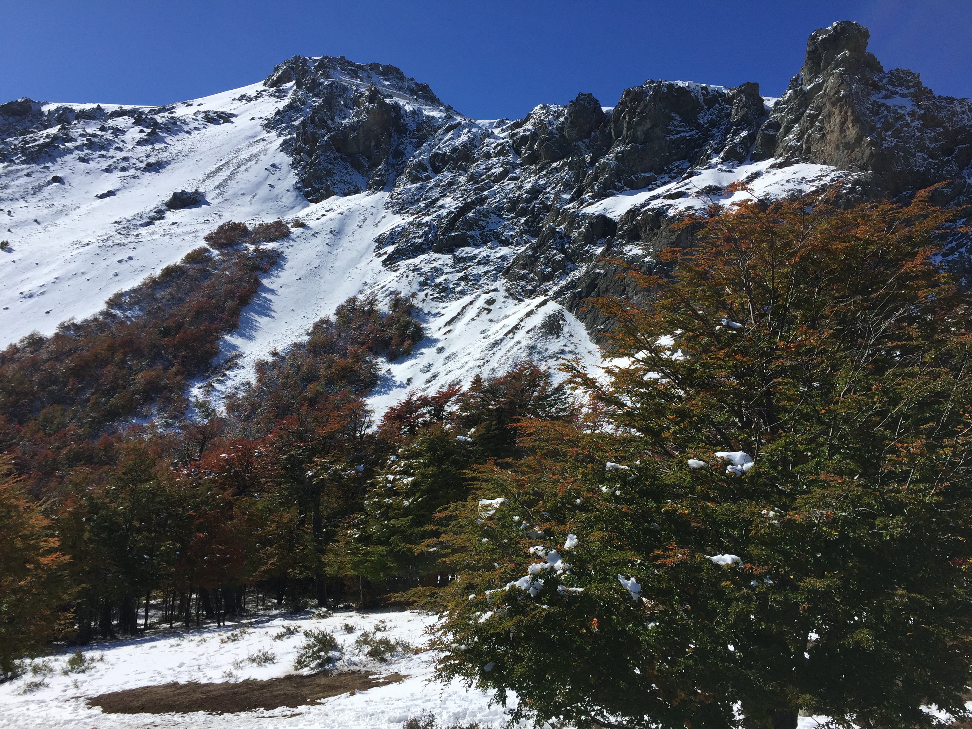 Hike to Cerro Piltriquitrón