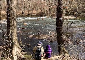 Hike along the River Walk Trail in Roanoke's Explore Park