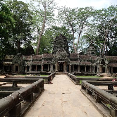 Explore Ta Prohm Temple
