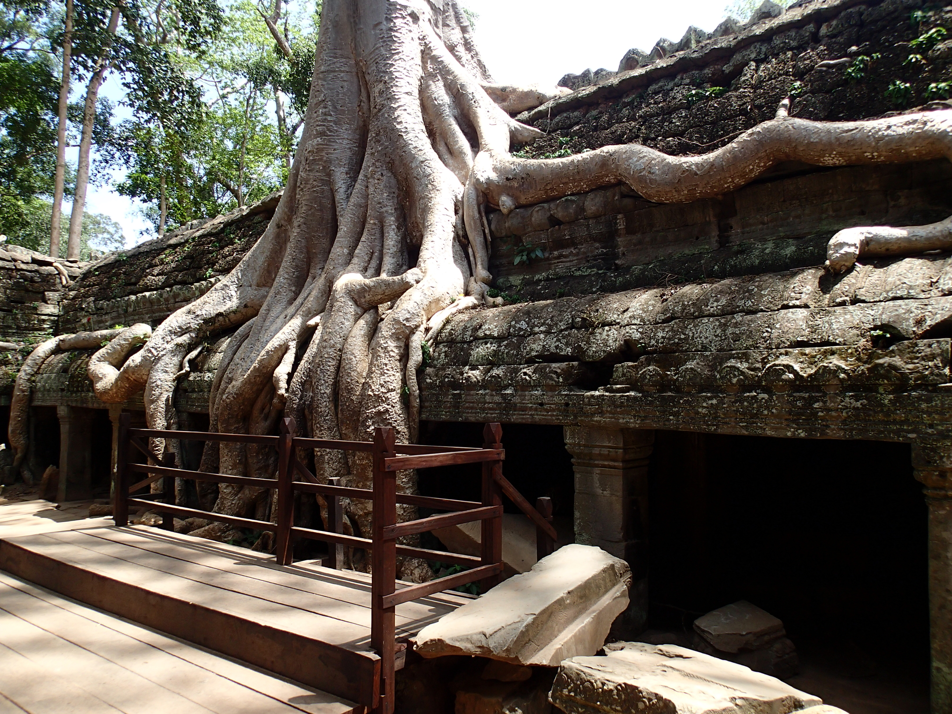 Explore Ta Prohm Temple