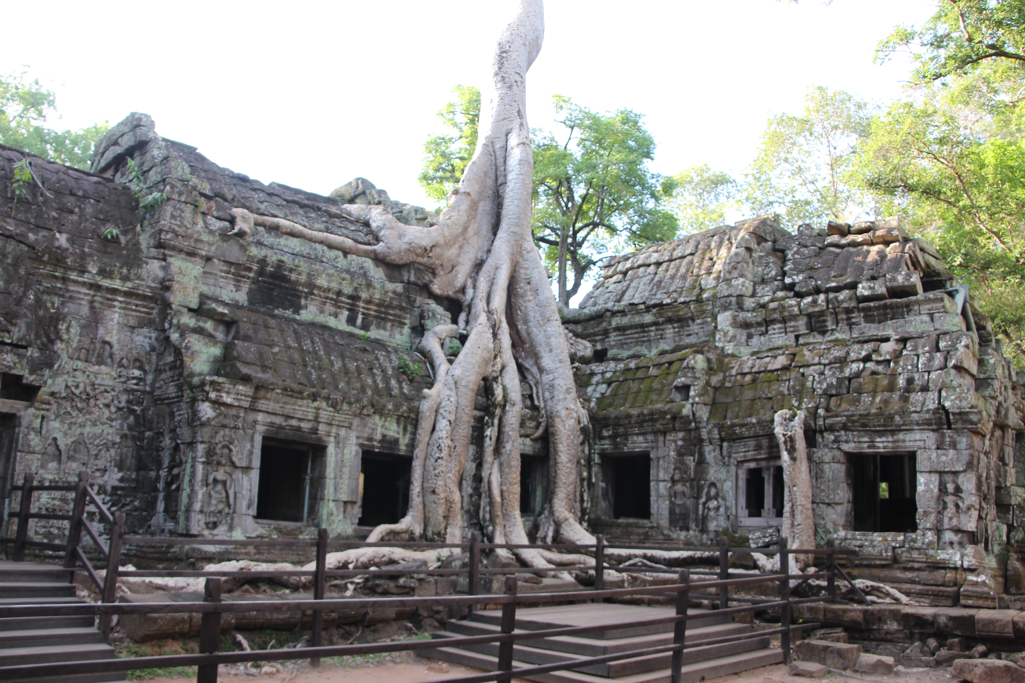 Explore Ta Prohm Temple