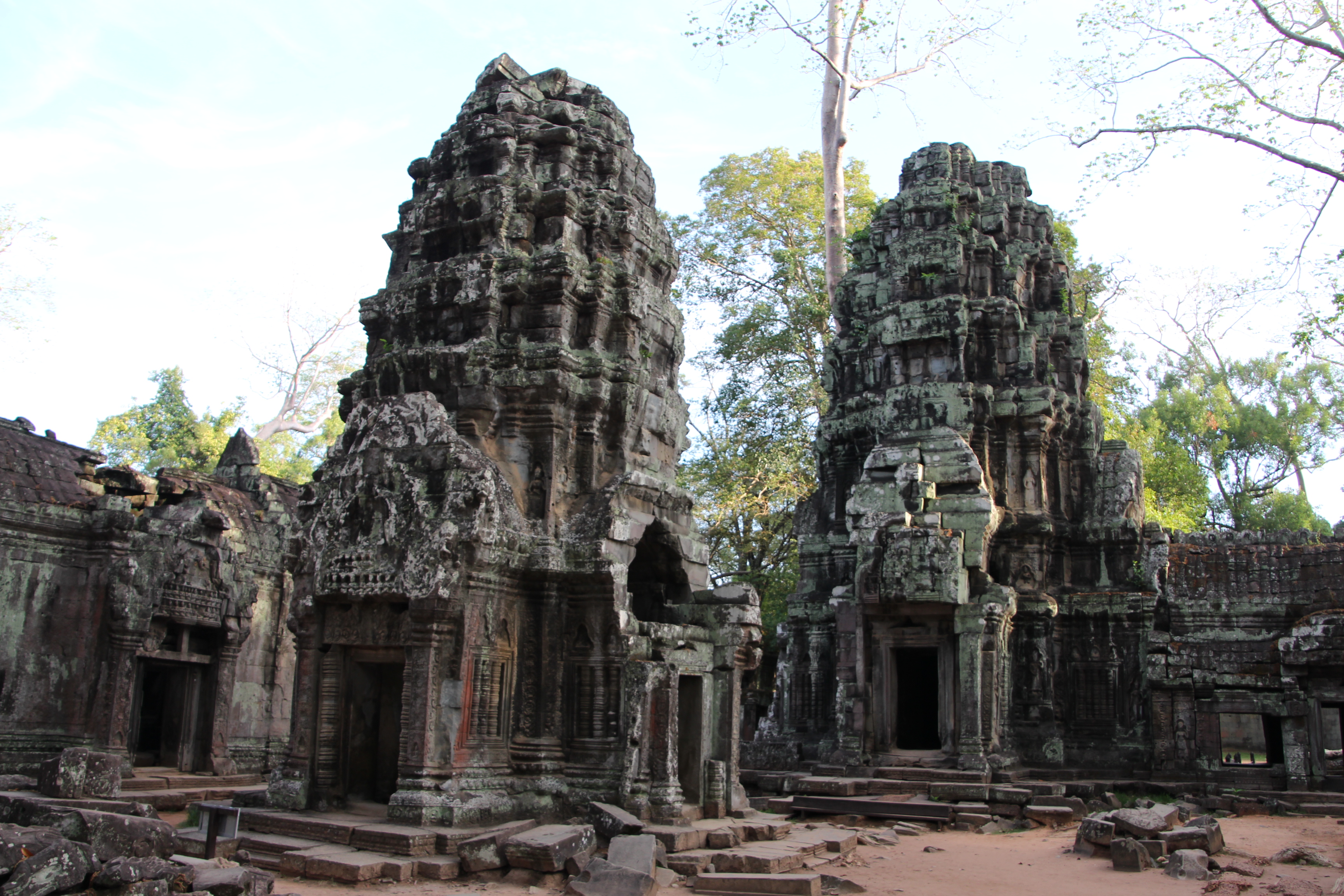 Explore Ta Prohm Temple