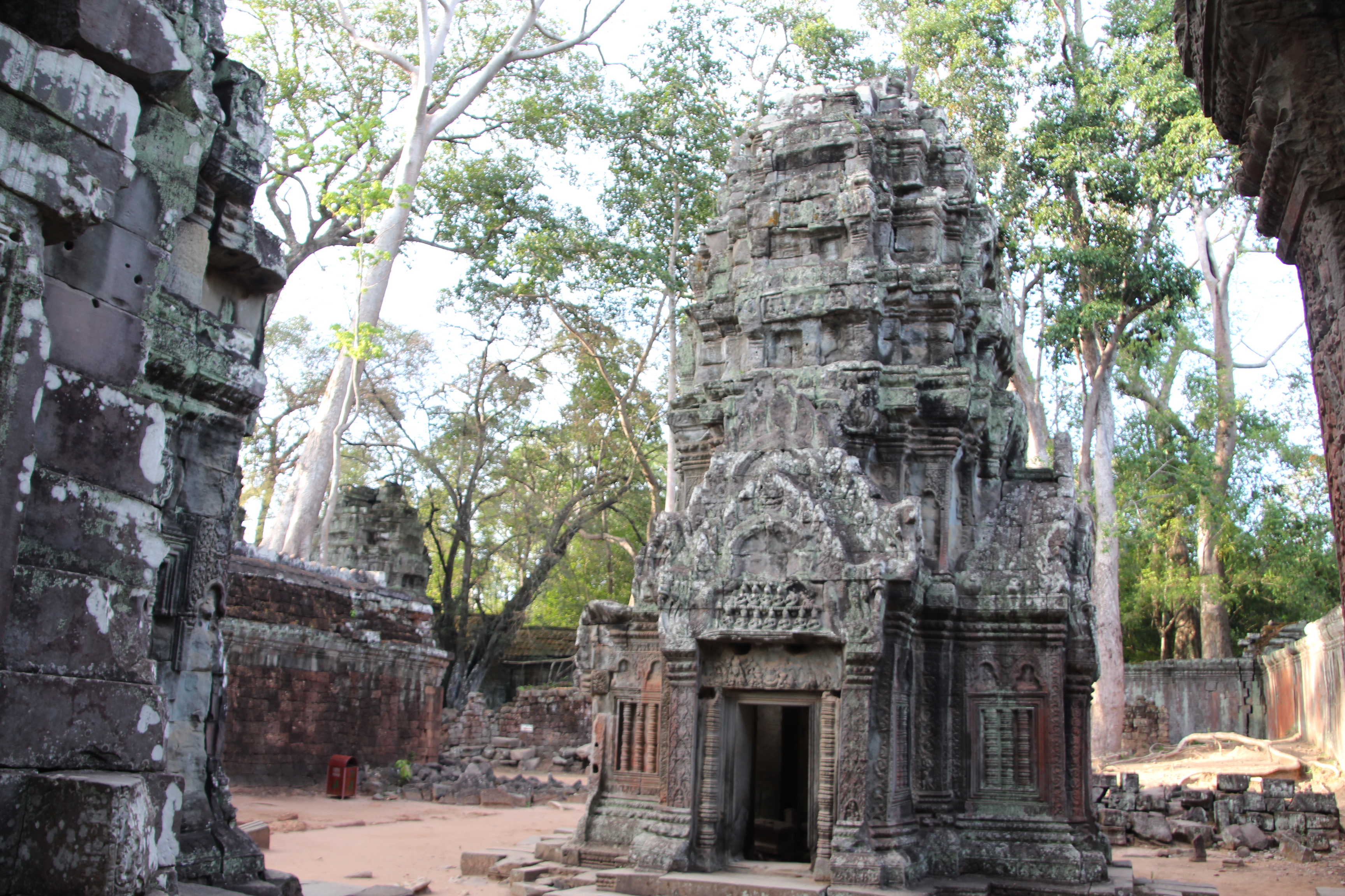 Explore Ta Prohm Temple