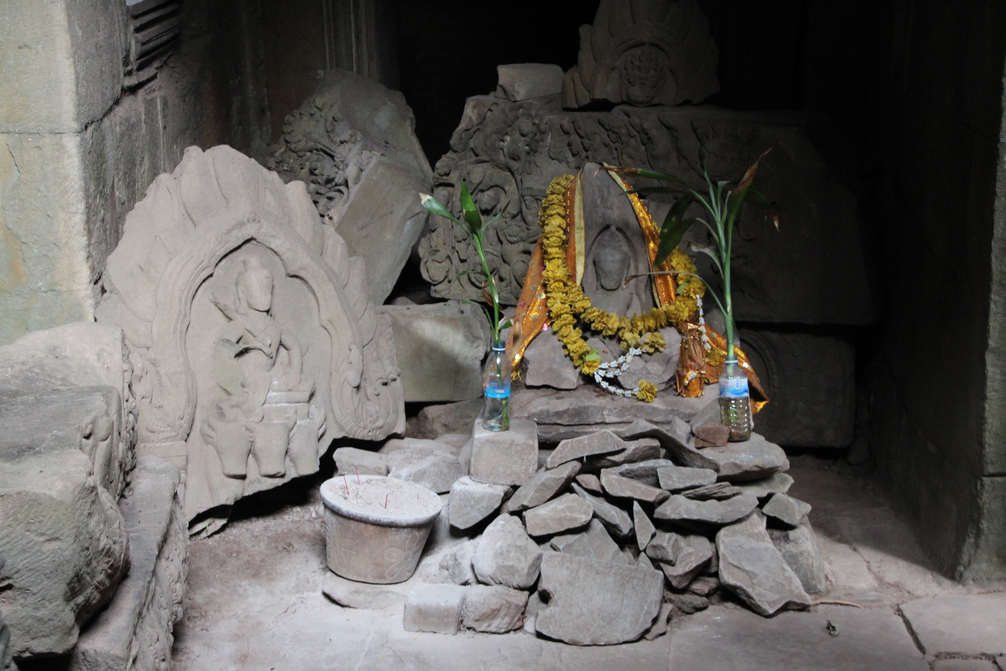 Explore Ta Prohm Temple