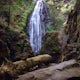 Hike to Susan Creek Falls