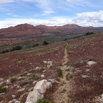 Hike the Buckskin Mountain Passage from Stateline Campground on the Arizona Trail