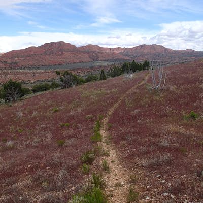 Hike the Buckskin Mountain Passage from Stateline Campground on the Arizona Trail