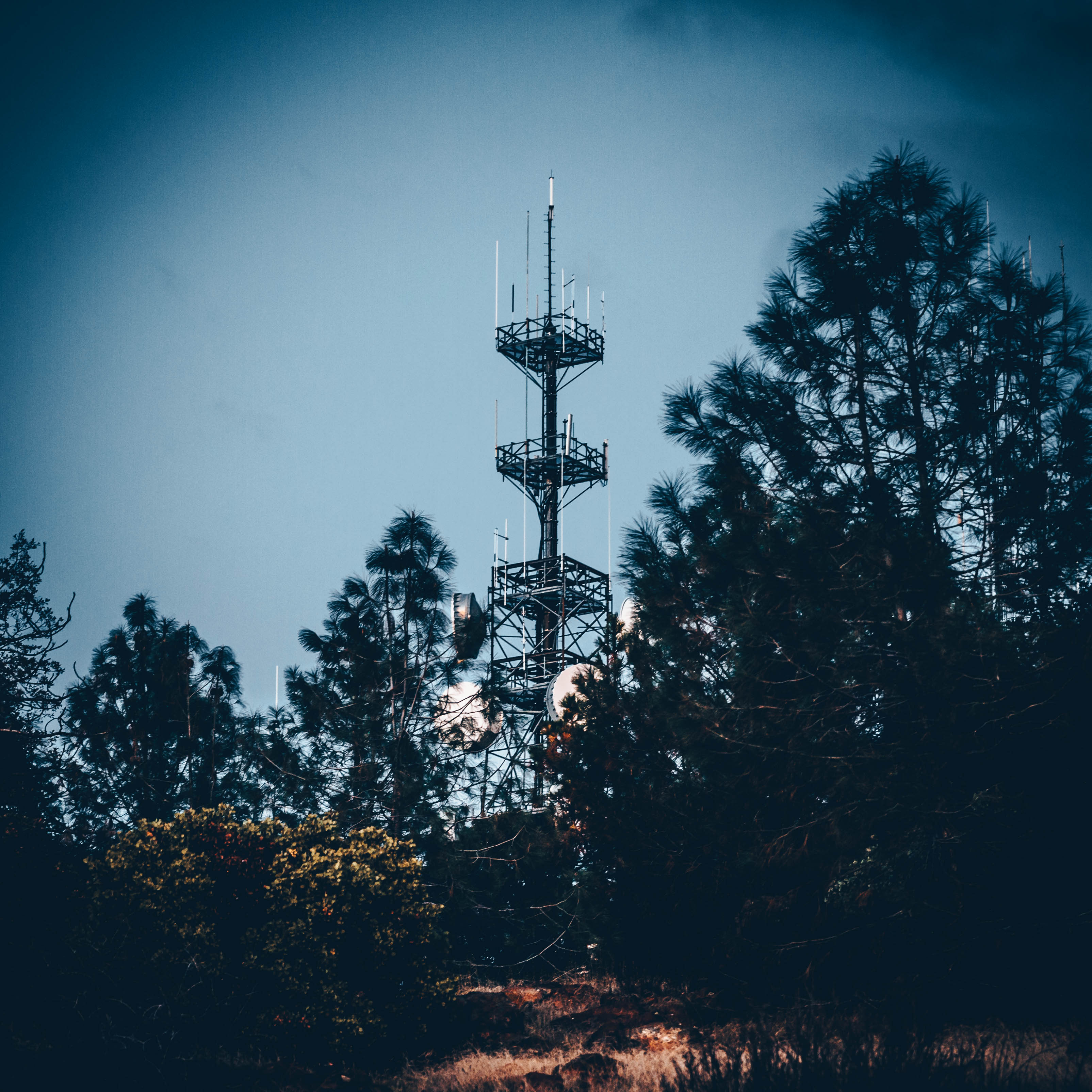 Photograph a Sunset on Wolf Mountain