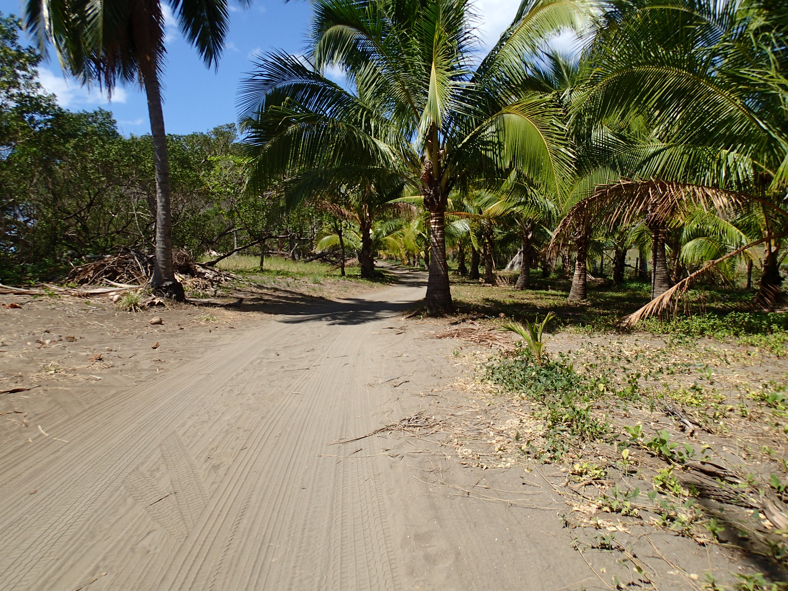 Relax at Playa Corozalito
