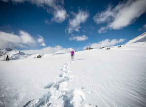 Jasper National Park is the Best Place to Try Snowshoeing. Here's Why.