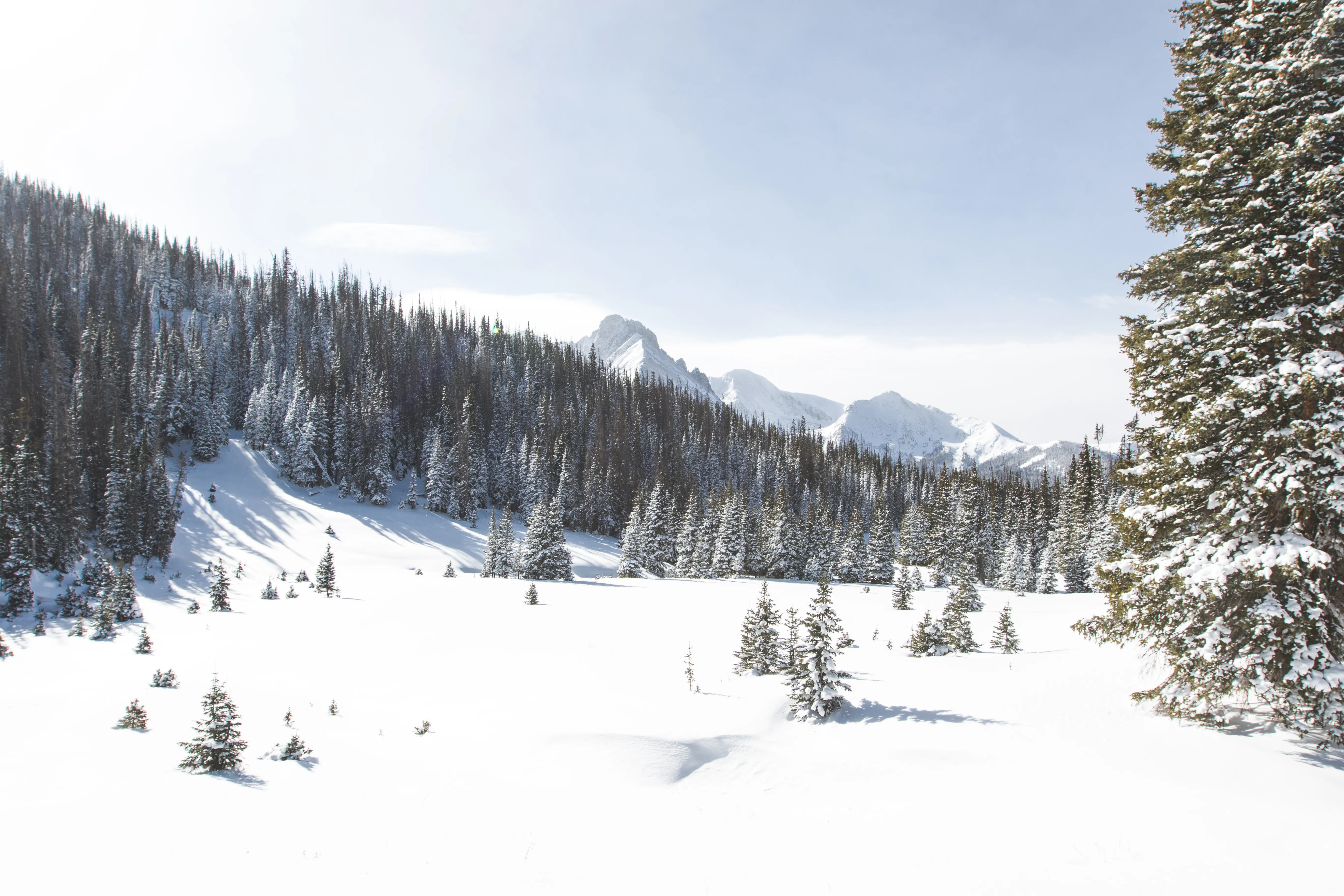 Backcountry Ski or Snowboard at Cameron Pass