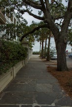 Take a Stroll Down the Charleston Battery