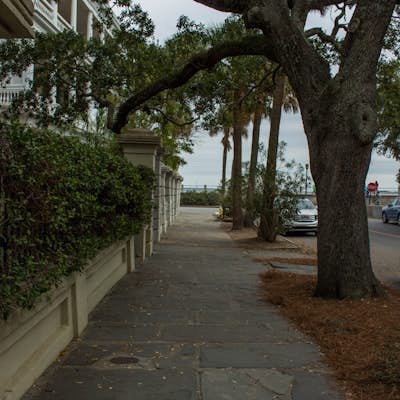 Take a Stroll Down the Charleston Battery