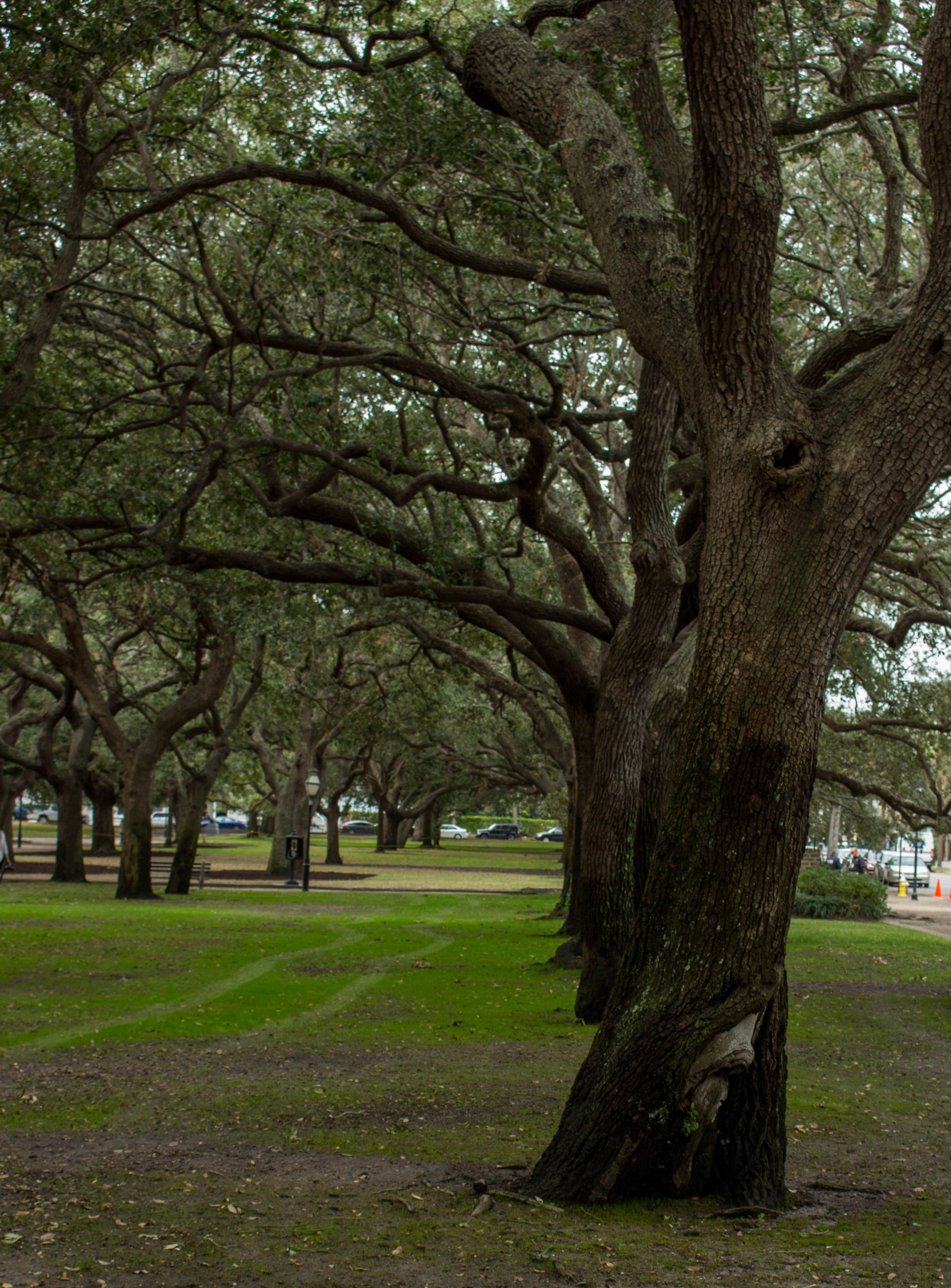 Explore the White Point Garden