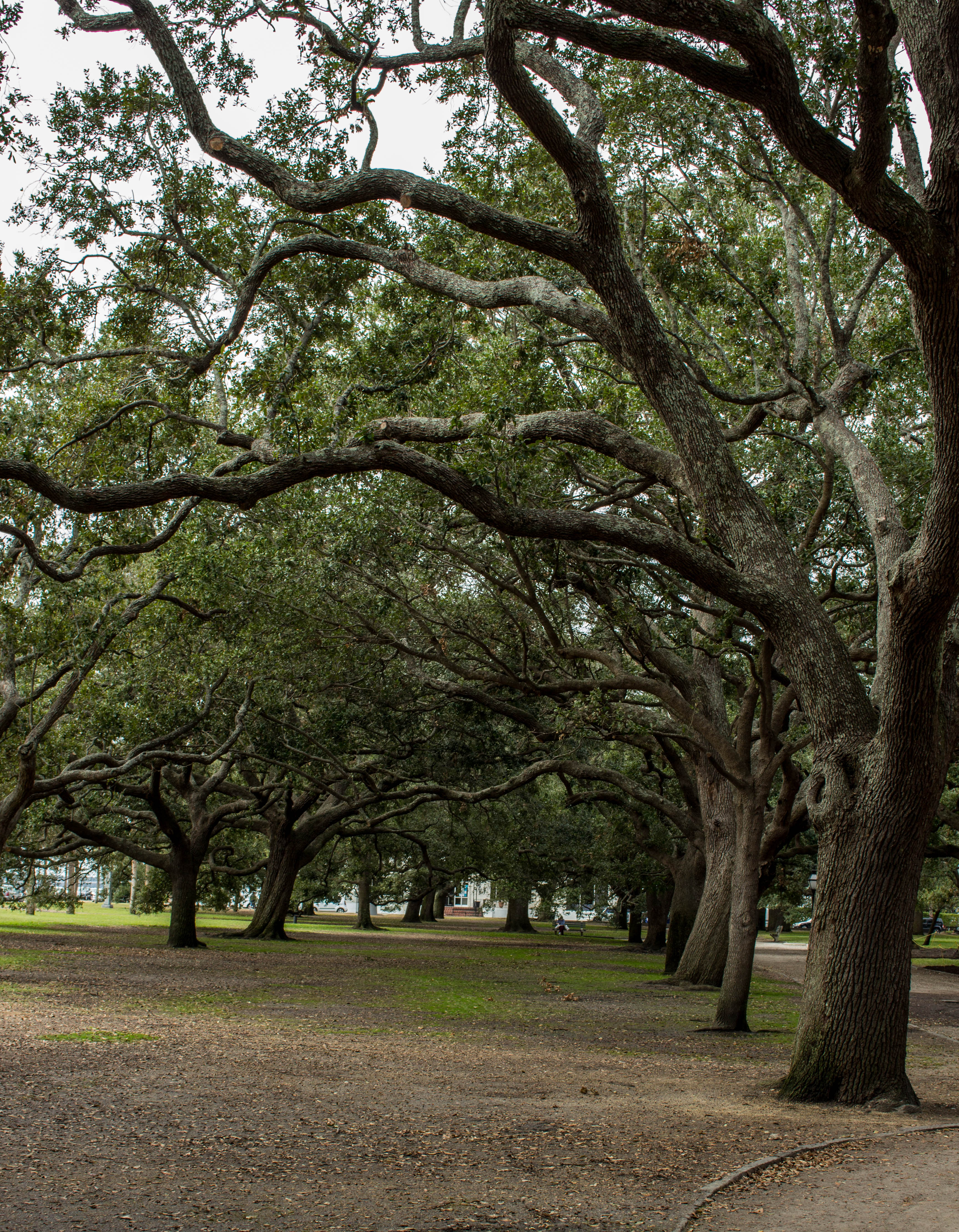 Explore the White Point Garden