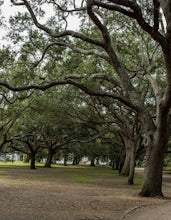 Explore the White Point Garden