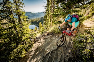 Mountain Bike Catherine's Pass