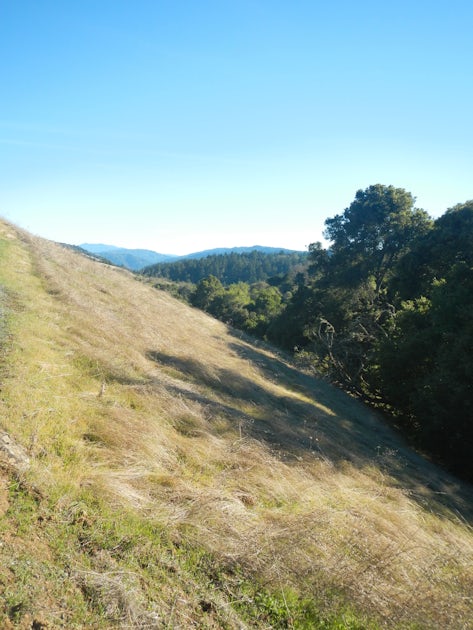 Bay Area Hiker: Monte Bello Open Space Preserve