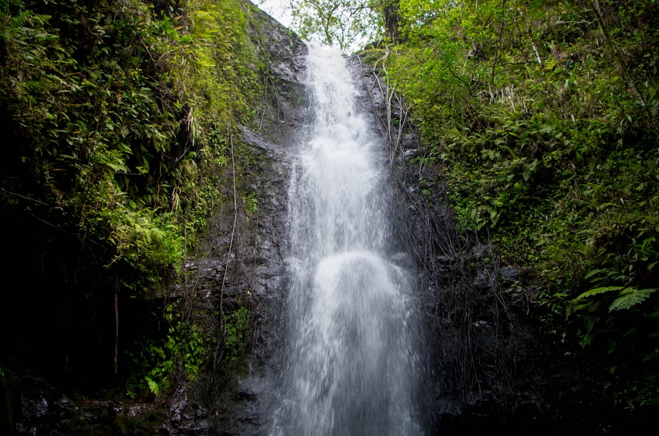 Hike to the First Waterfall on the Ka'au Crater Trail, Ka'au Crater Trail