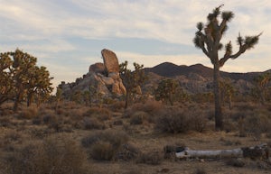 Rock Climb at Headstone Rock in Joshua Tree