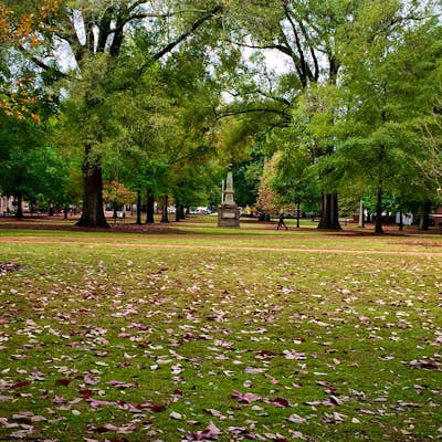 Walk the University of South Carolina Horseshoe