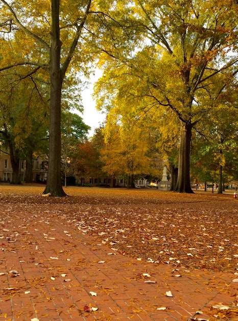 Walk the University of South Carolina Horseshoe, Columbia, South Carolina