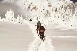 Snowshoe to Panorama Point Mount Rainier National Park