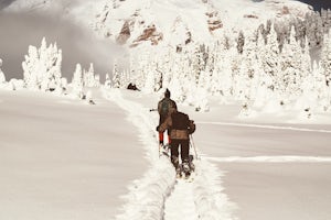 Snowshoe to Panorama Point