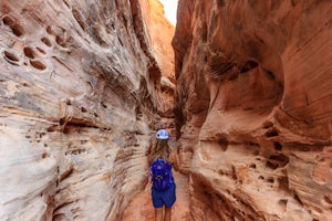 Hike the White Domes Trail in Valley of Fire State Park 