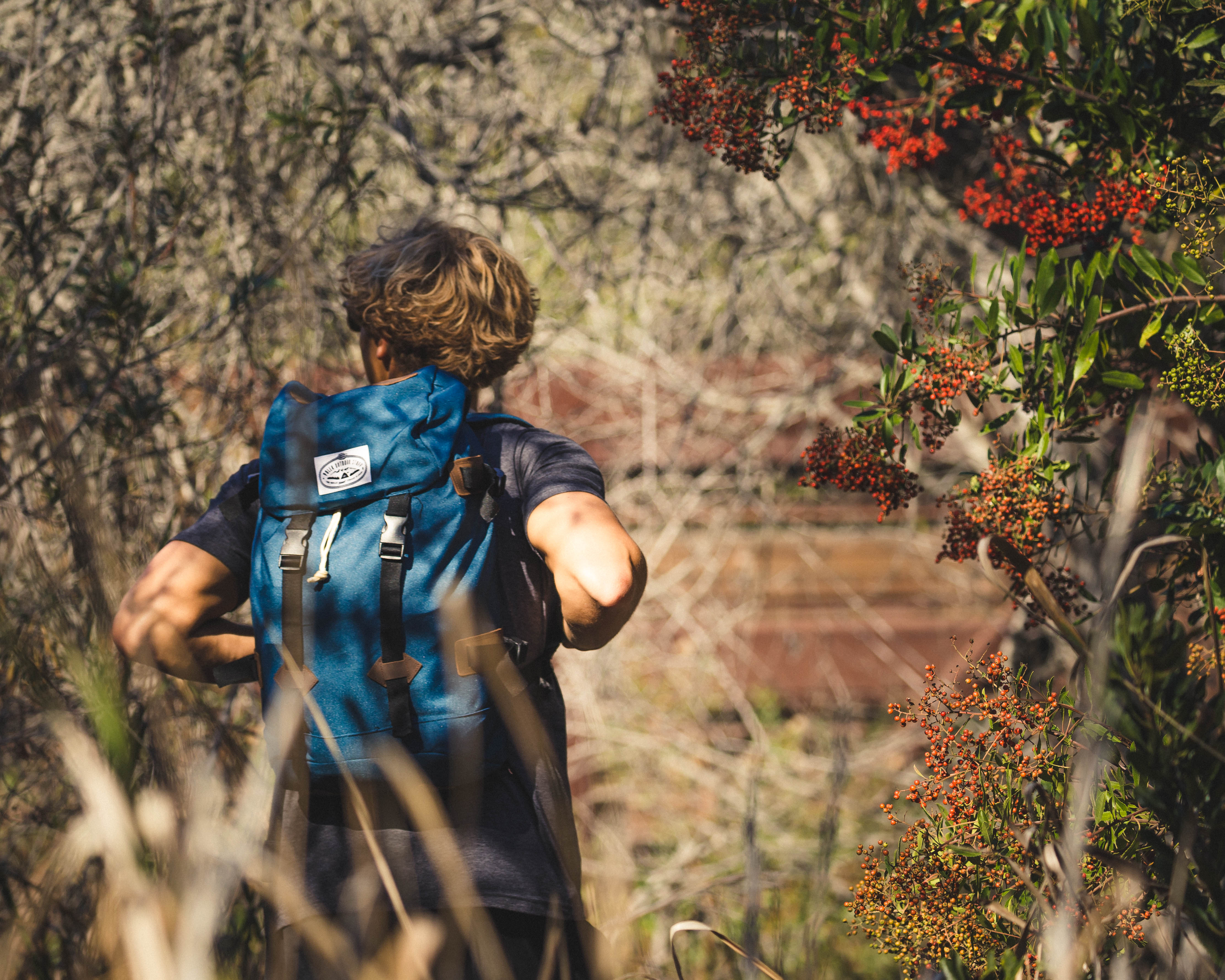 B.F.I. Trail in Crystal Cove State Park