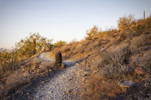 Run at Thunderbird Park